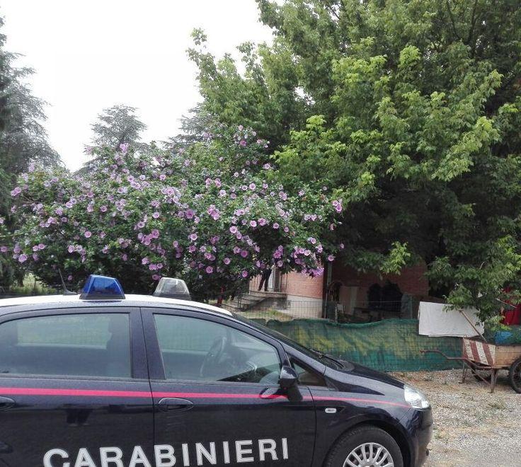 In casa 82 cani, lo sfratto ancora rinviato  