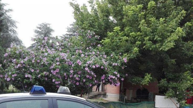 In casa 82 cani, lo sfratto ancora rinviato