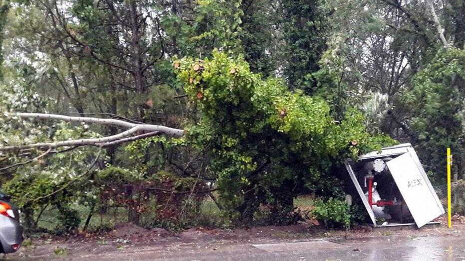 Tromba d'aria a Comacchio, morto il ciclista travolto da un albero