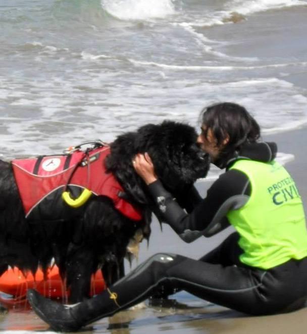 Addio a Dafne, cagna bagnina ed eroina della Maremma
