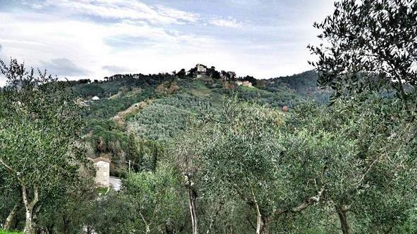 Versilia non solo mare boom di arrivi in collina
