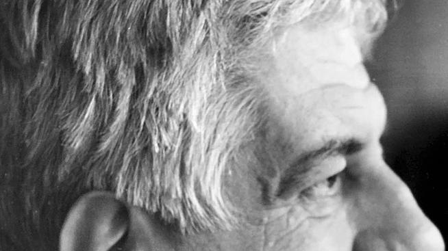Via libera al piano di gestione forestale della Versiliana