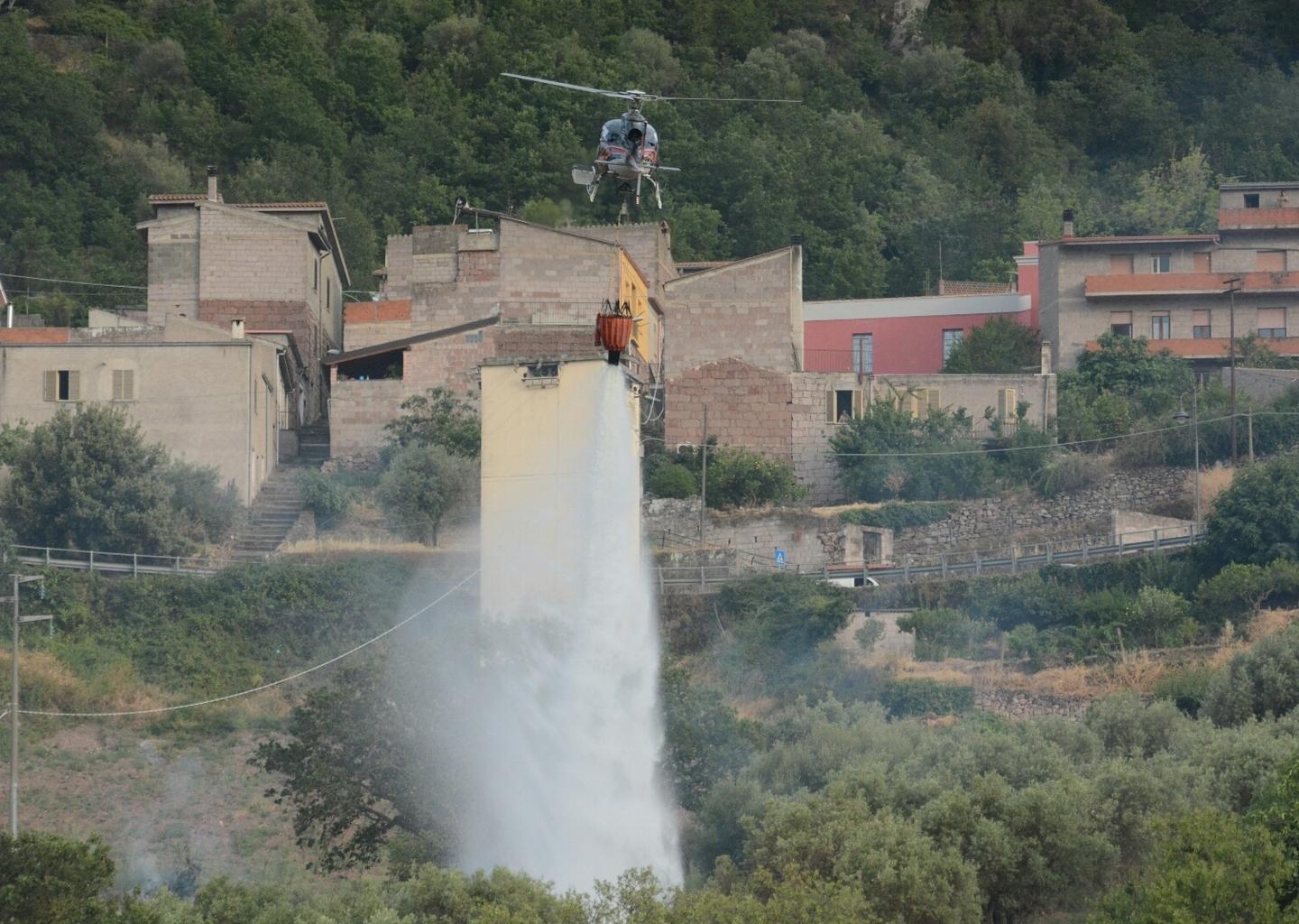 Dopo l’incendio le accuse, la Forestale: colpa di Enel  