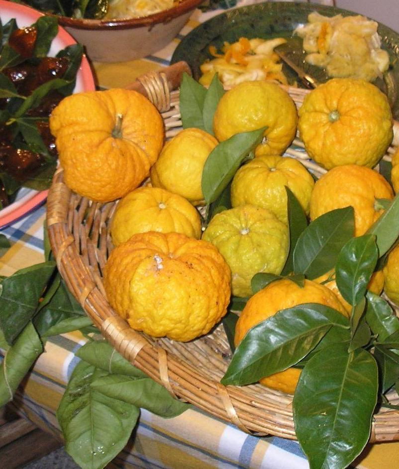 Siniscola, la ricerca sulla “pompìa” in aula consiliare 