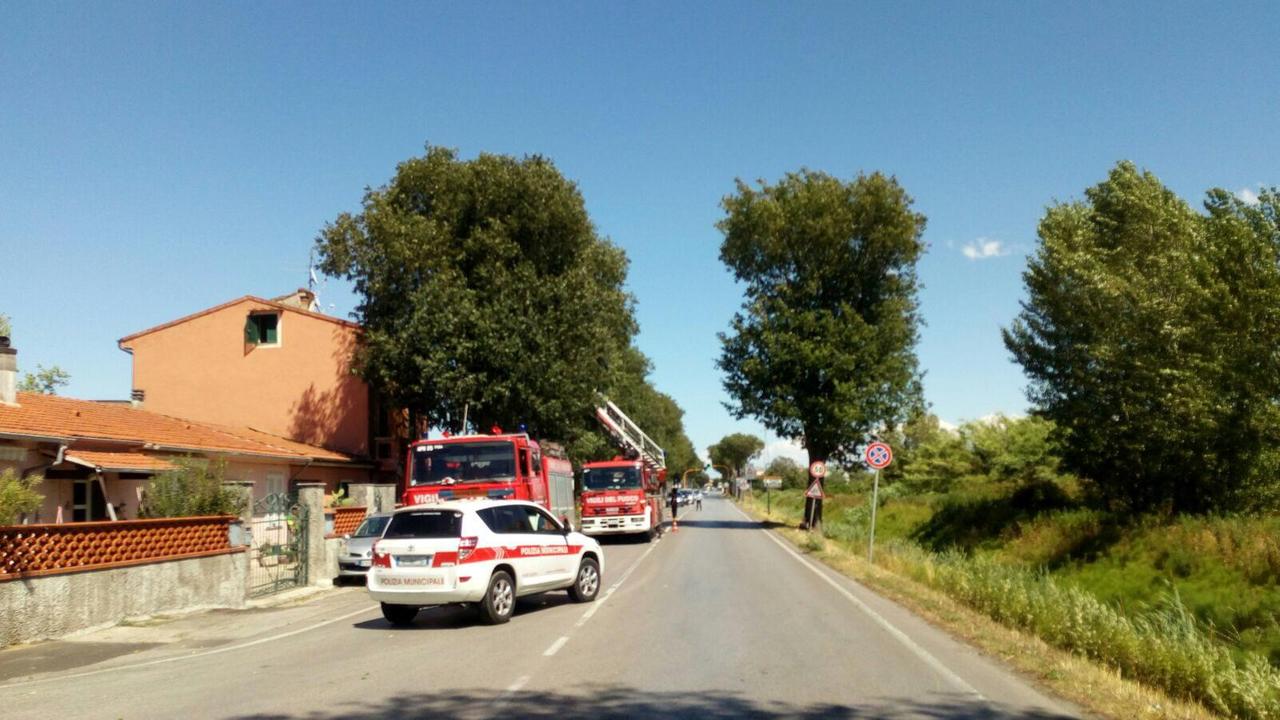 vigili del fuoco mettono in sicurezza albero pericolante