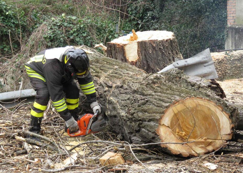 Strade bloccate dagli alberi abbattuti da pioggia e vento