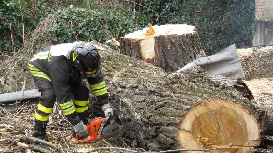 Strade bloccate dagli alberi abbattuti da pioggia e vento