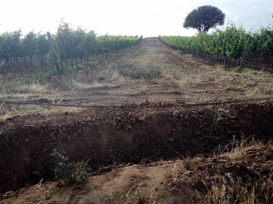 «Costretto a chiudere il centro per i rapaci» 
