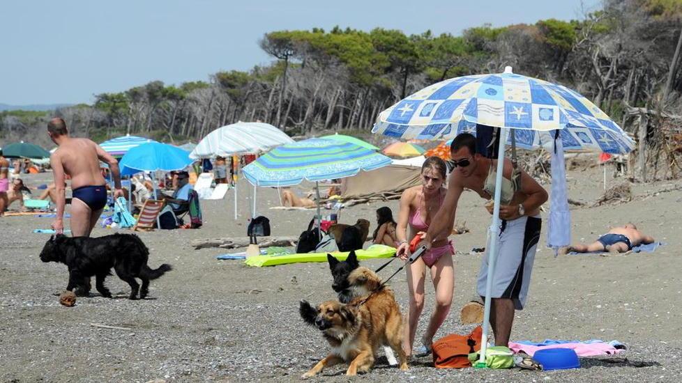 La Bau Beach non sarà più a Le Marze