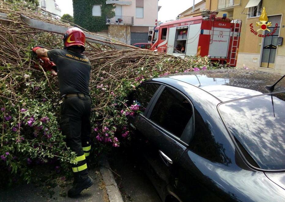 Raffiche di 123 km/h Il vento fa danni in tutta la provincia 