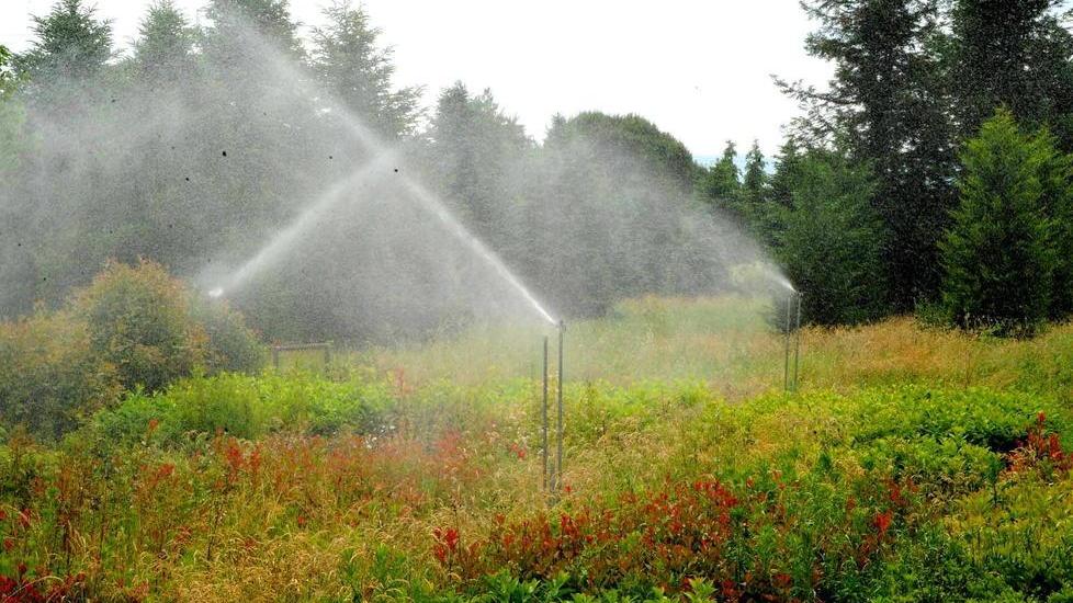 Guasto alla condotta niente acqua per i campi
