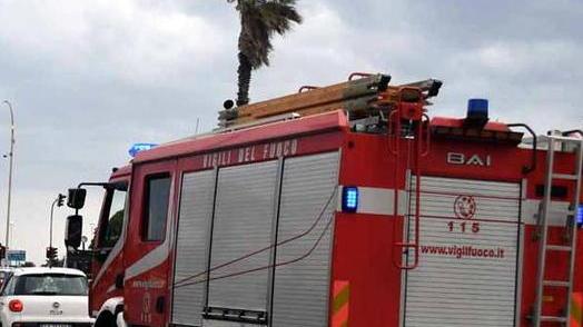 Il vento fa danni, giù una palma in piazza Betti