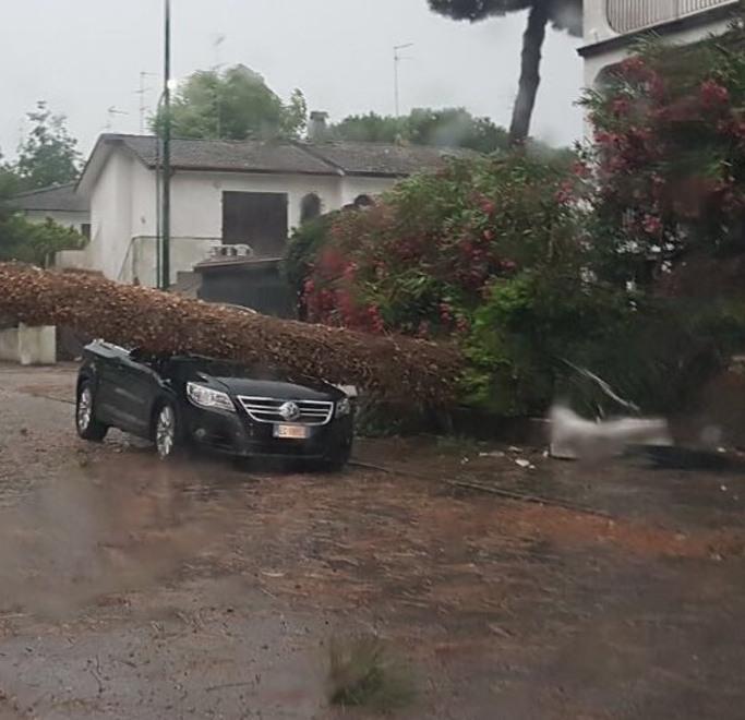 Flagellati tutti i Lidi Romea bloccata da Spina a Nazioni
