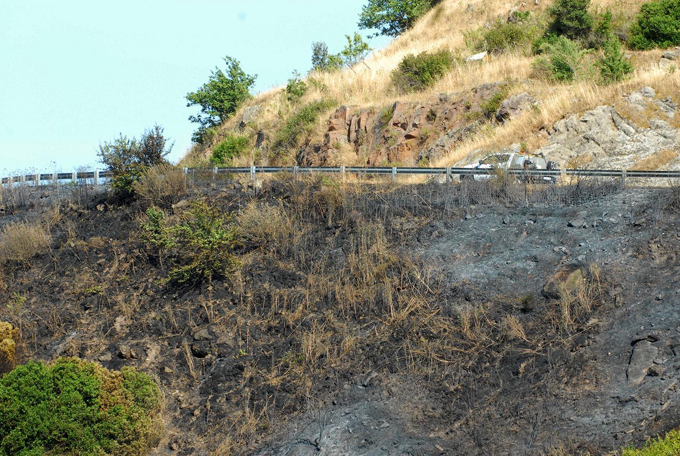 Macchia e bosco, il Sarcidano ancora sotto attacco