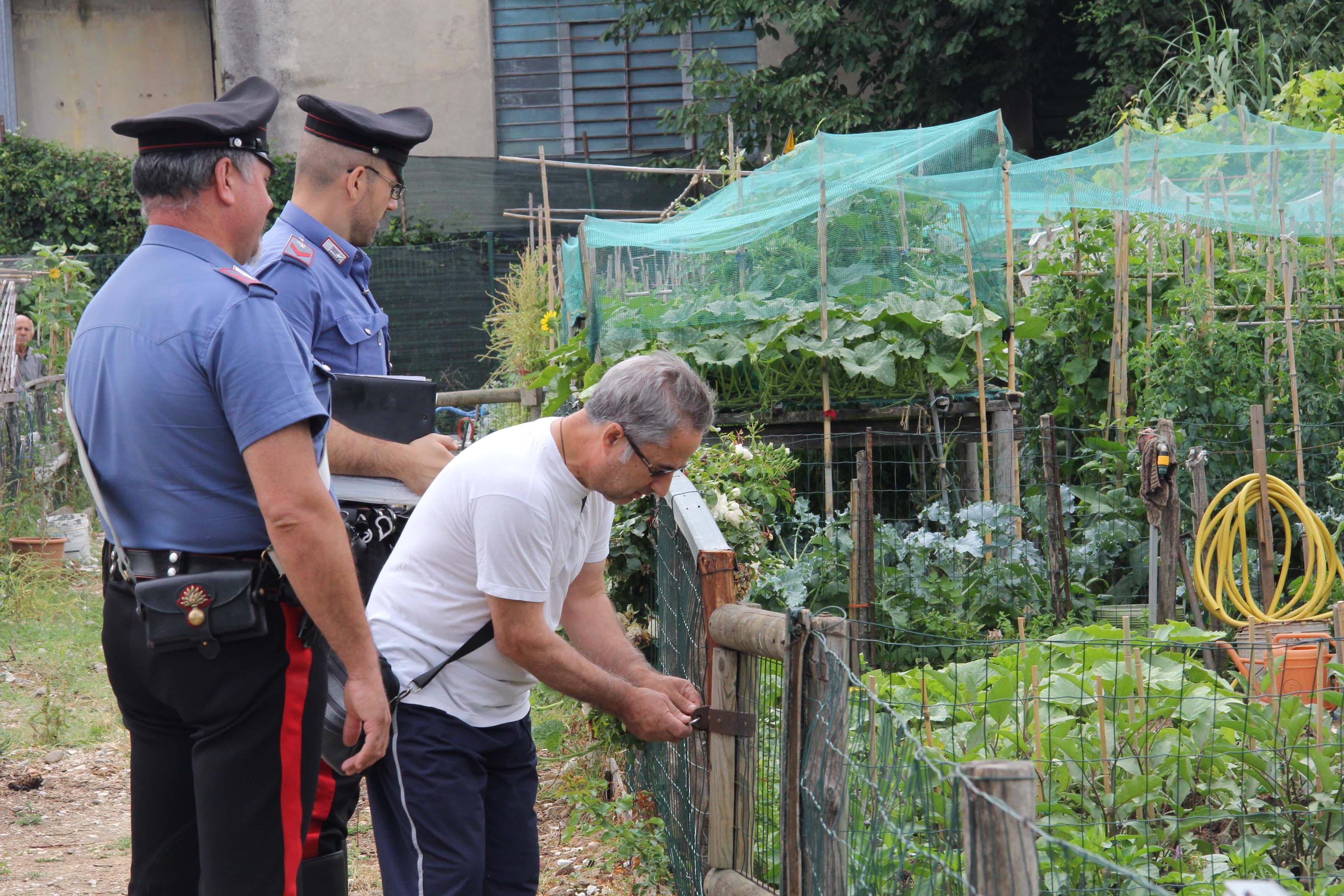Il gestore di uno degli orti insieme a un carabiniere (foto Batavia)