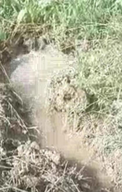 Nuova perdita d’acqua in via Asmara 