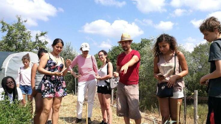 I “B.Livers” a Campiglia
