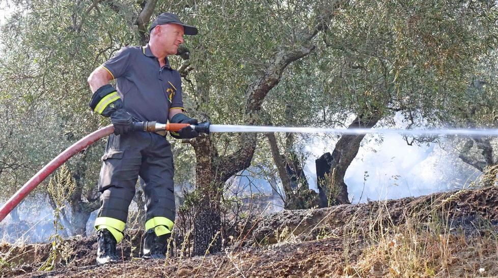 Multe fino a 3.000 euro a chi non pulisce le aree incolte
