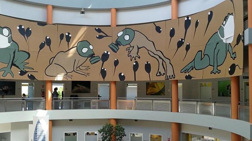 Un maxi murales in cartone nell’atrio dell’ospedale