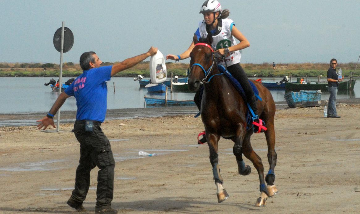 Tutti in sella per il Sardegna Endurance Festival