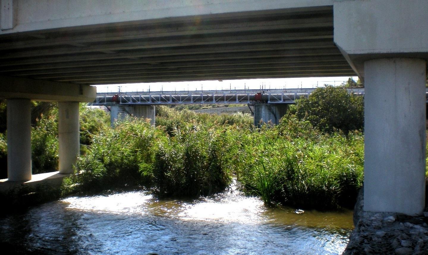 Il Consorzio chiede l’acqua del rio Mannu