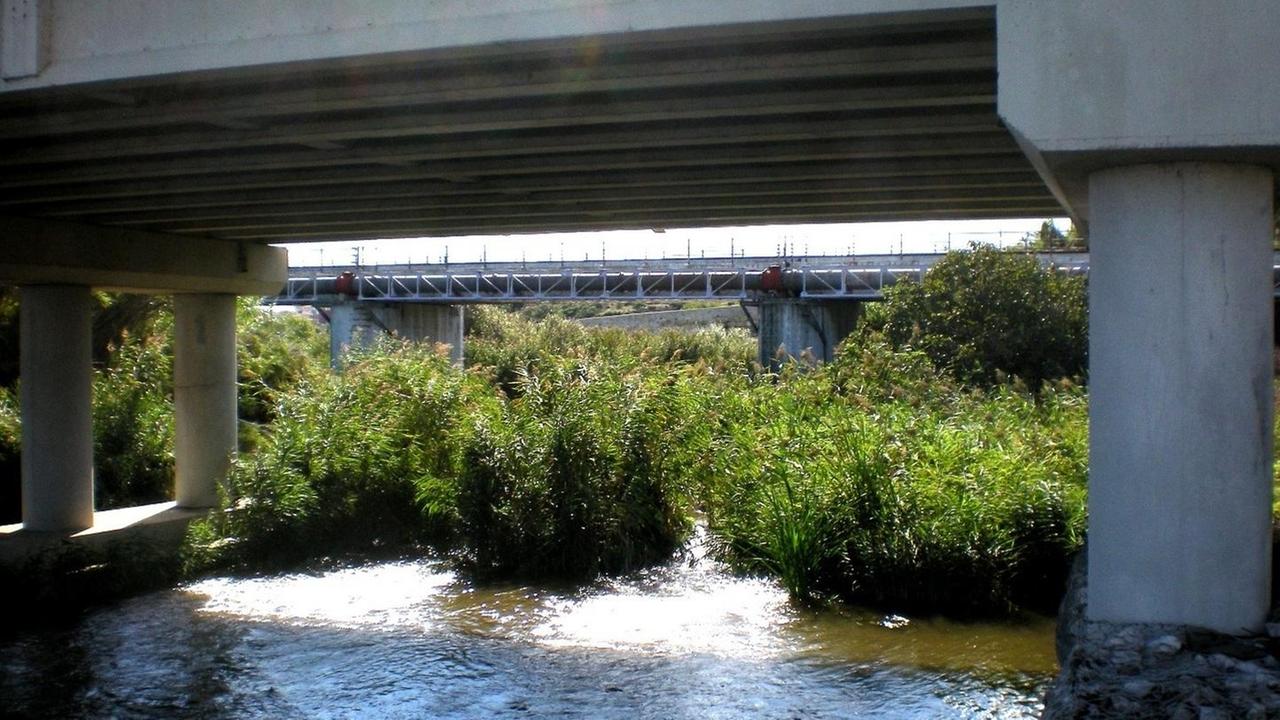 Il Consorzio chiede l’acqua del rio Mannu