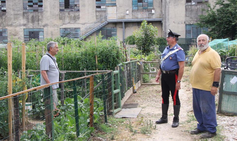 Saccheggiati dai ladri gli orti dei pensionati
