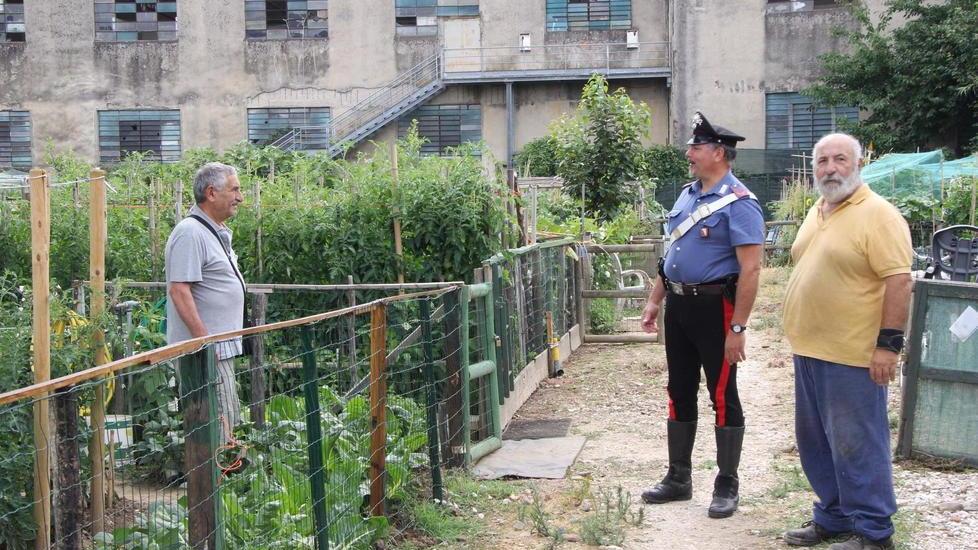 Saccheggiati dai ladri gli orti dei pensionati