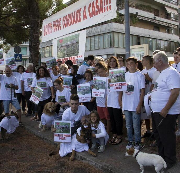 Massa, «Il mio cane Boris deve tornare a casa con me, mai fatto del male»  