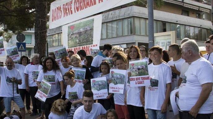 Massa, «Il mio cane Boris deve tornare a casa con me, mai fatto del male»
