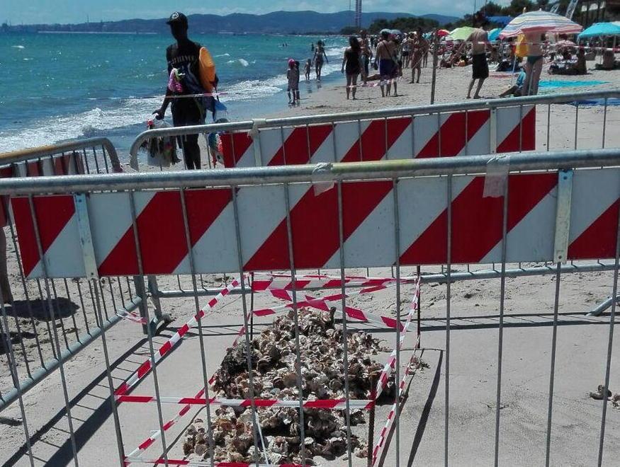 Bomba sulla spiaggia di Carlappiano 