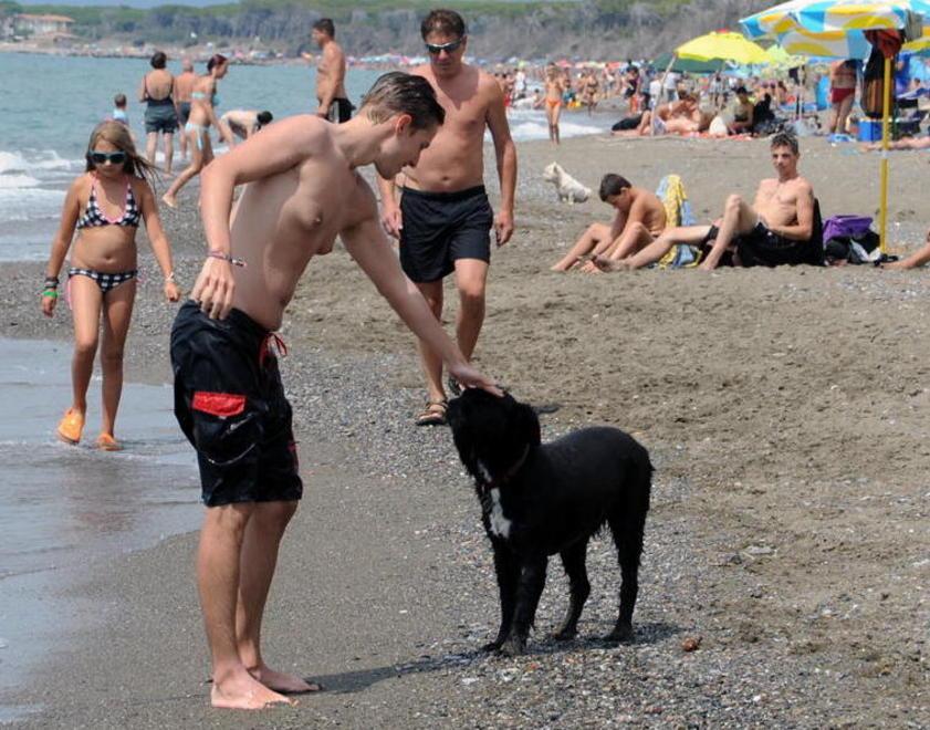 Spiagge per i cani, le regole da seguire 