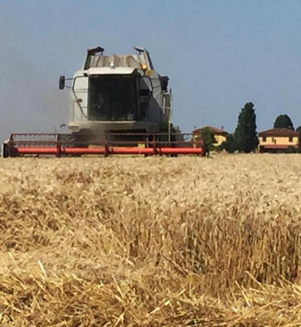 Esonero Imu, scontro fra ministero e Anci sulle società agricole 