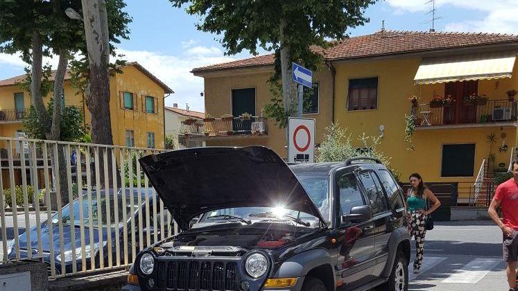 Cittadini e vigili del fuoco in azione in via Mascagni per liberare il gattino