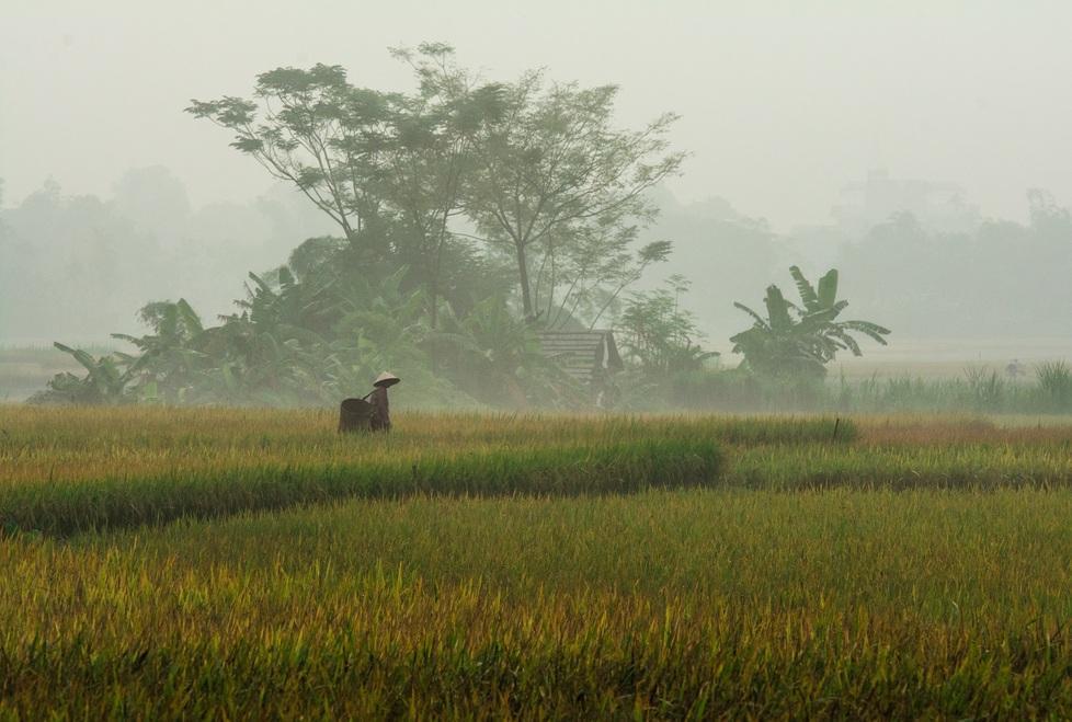 Ecco “Il mio Vietnam”, mostra di foto di Francesco Fornaini