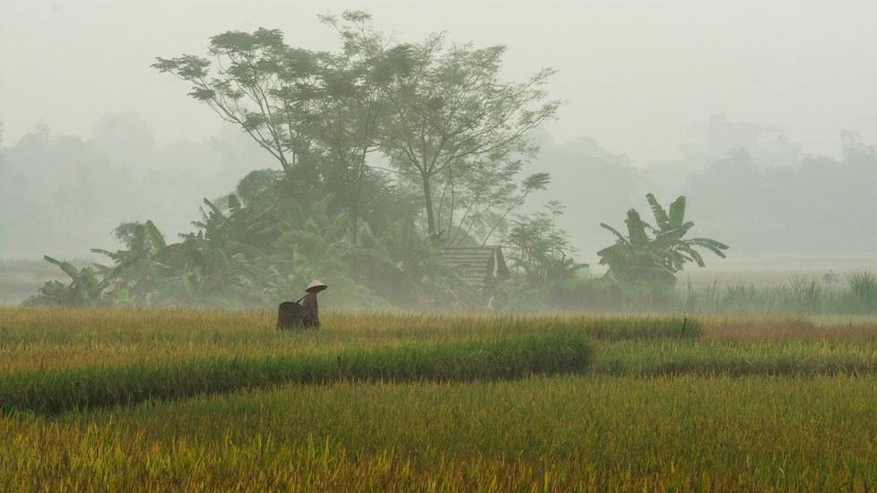 Ecco “Il mio Vietnam”, mostra di foto di Francesco Fornaini