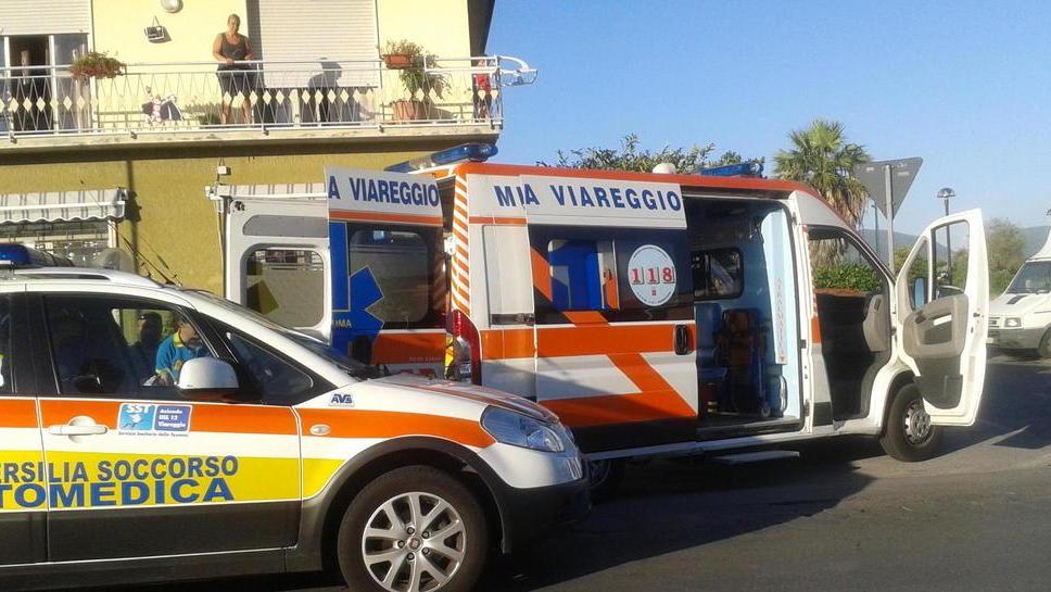 Punto da un’ape, ancora gravissimo
