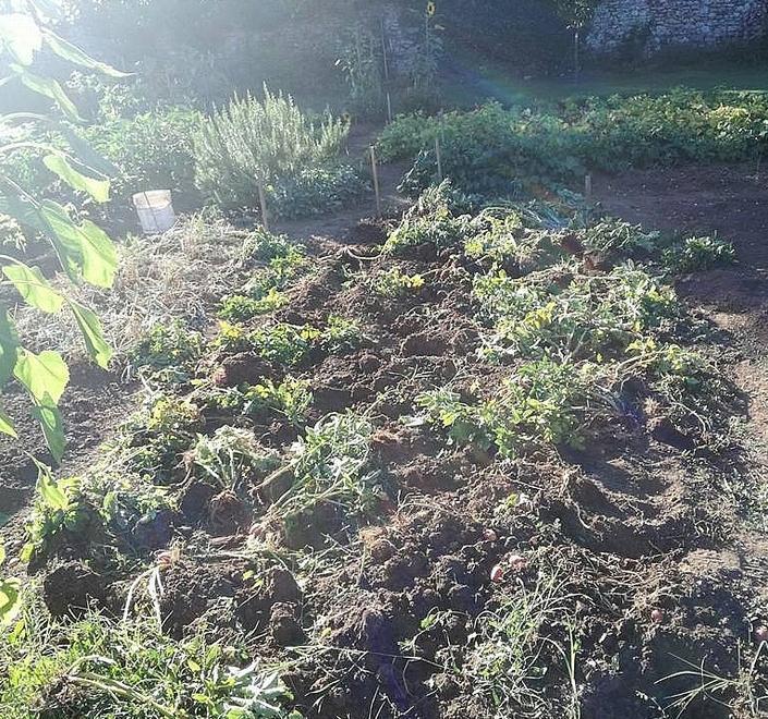 Reggio Emilia, vandali alla Reggia di Rivalta distruggono gli orti: «Visite annullate»  