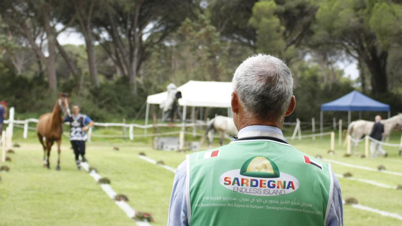 Sardegna Festival, numeri da record