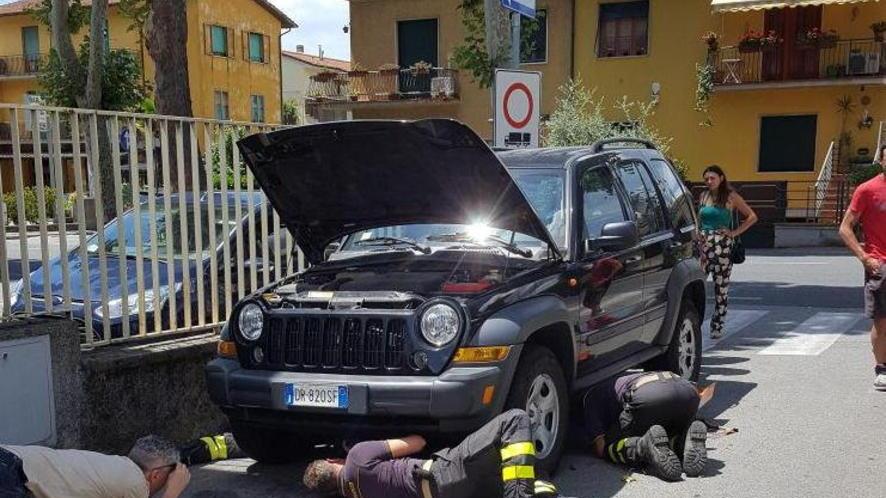 S’infila nel vano motore: salvato gattino