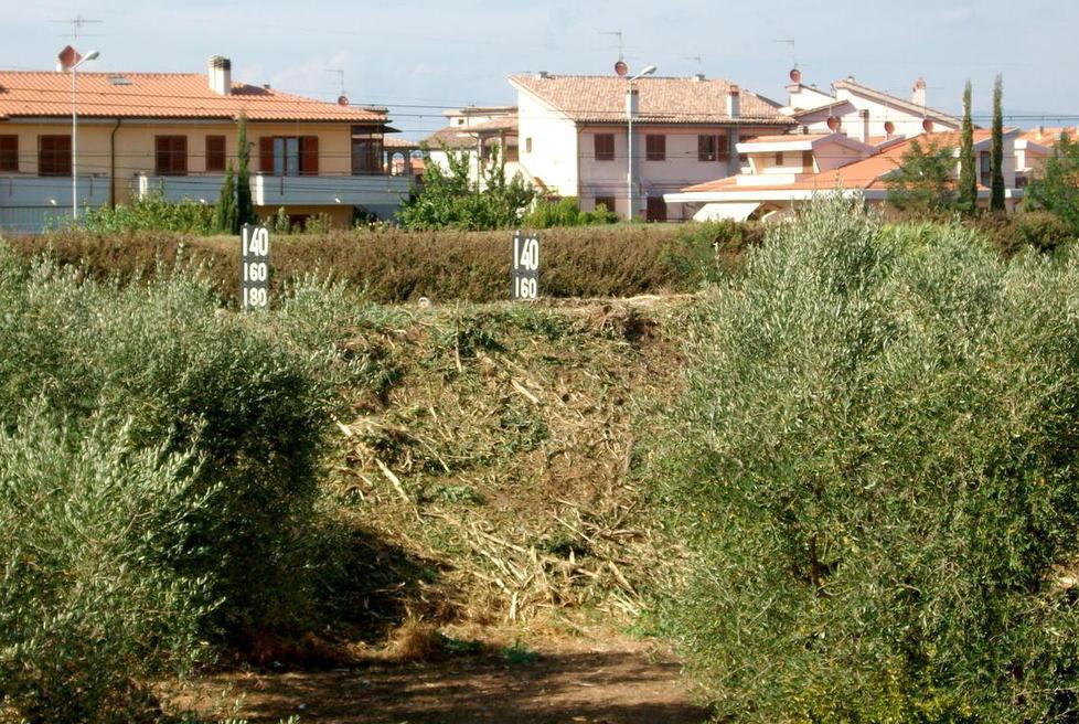 Caos fuori dal locale Incontro con i residenti