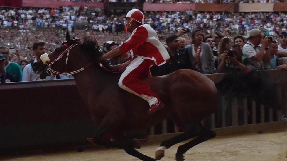 È di Seggiano la cavalla che ha vinto il Palio