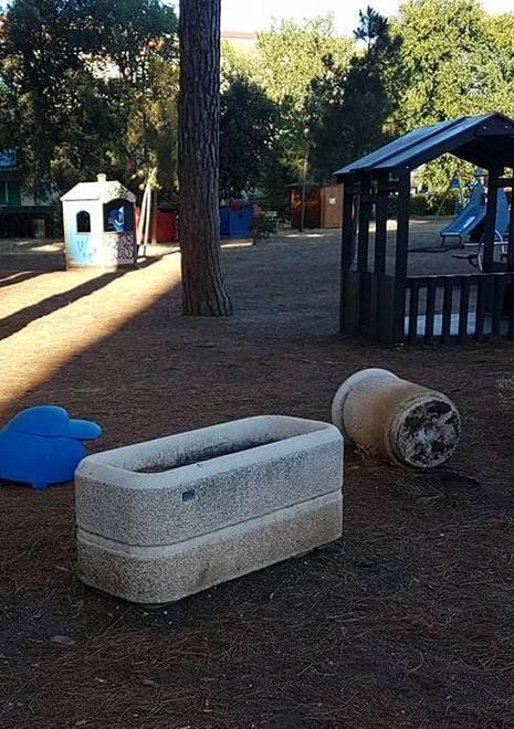 Pineta di ponente nel mirino dei vandali Scoppia la polemica 