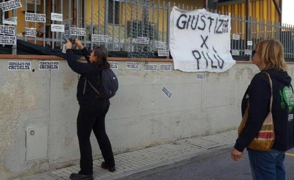Caso Pilù, denunciati animalisti 