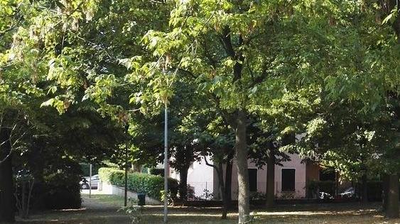I giovani vandali colpiscono ancora