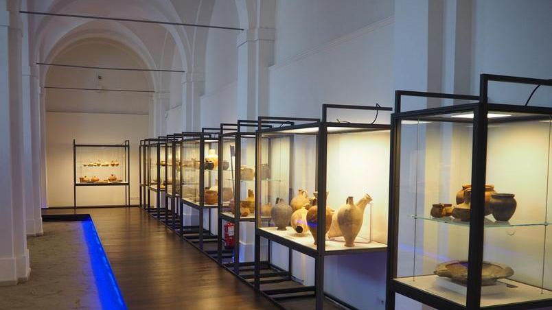 Al Museo Delta Antico la partenza è da record