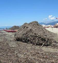 Lavarone a Lido di Camaiore, l’ira dei balneari  