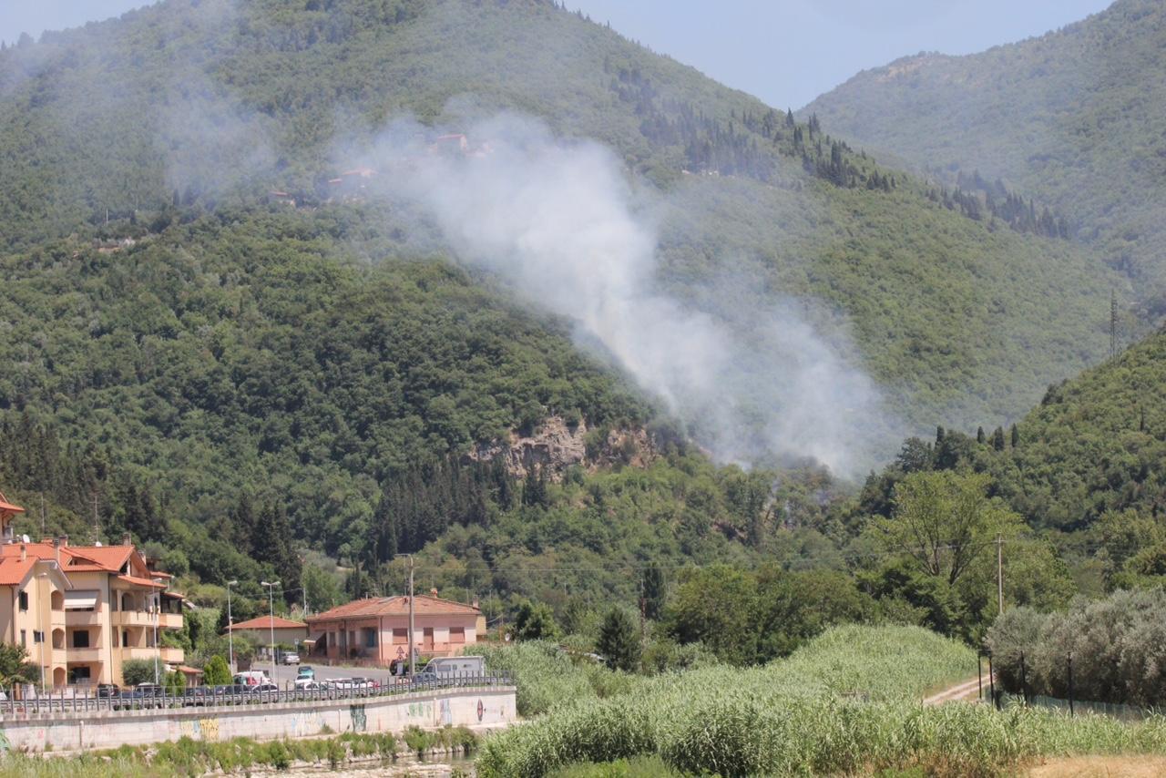 Incendio di bosco a Rio Buti (Foto Batavia)