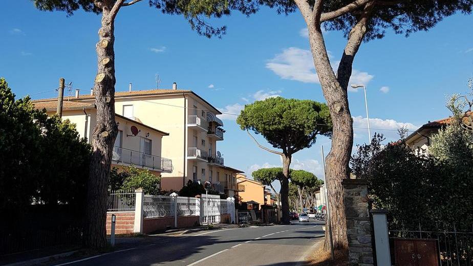 «La 398 è pericolosa ma il Comune non fa niente»