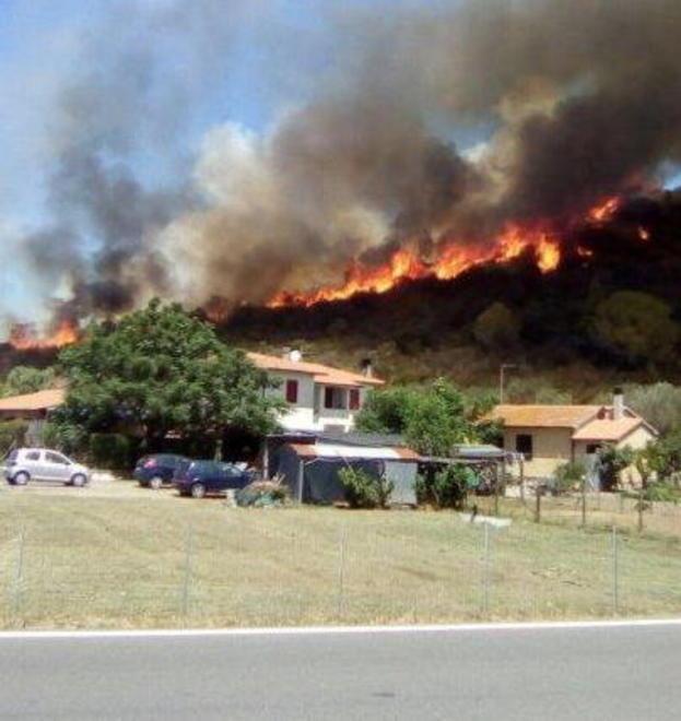 Vanno in fumo 160 ettari 